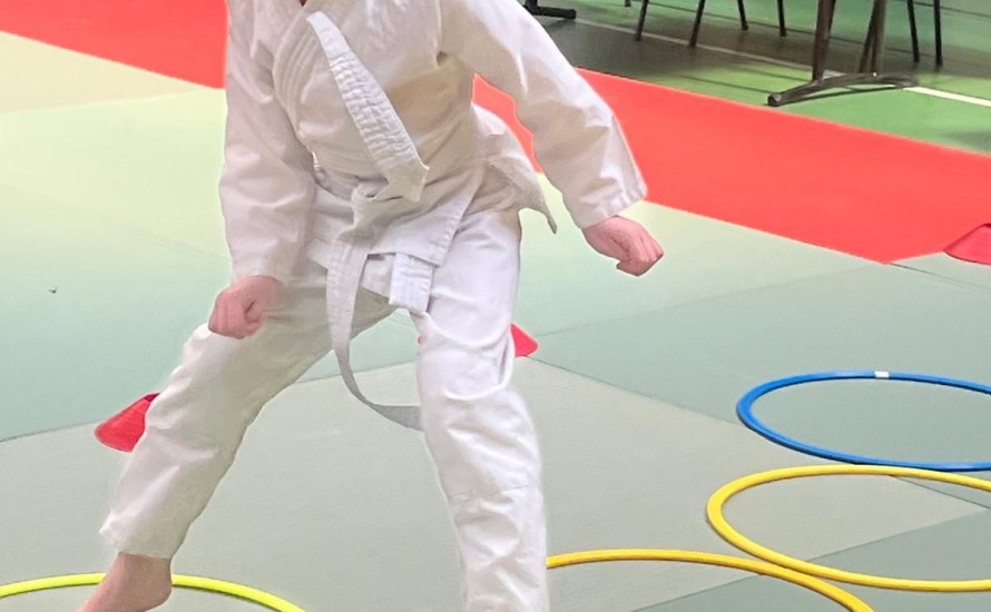 Animation Baby judo du judo club de Bourron-Marlotte  - 17 mai 2025